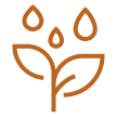 Nước uống miễn phí